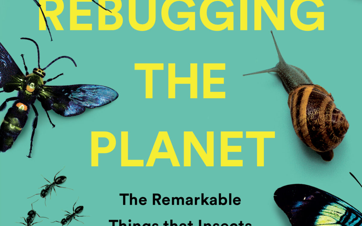 Rebugging the Planet
