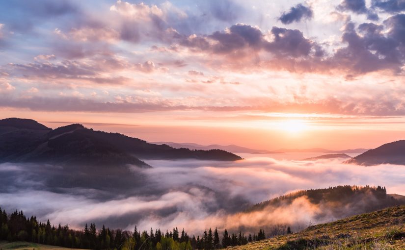 Deep Medicine for Bodies and a World Inflamed: Healing Requires the Right Diagnosis