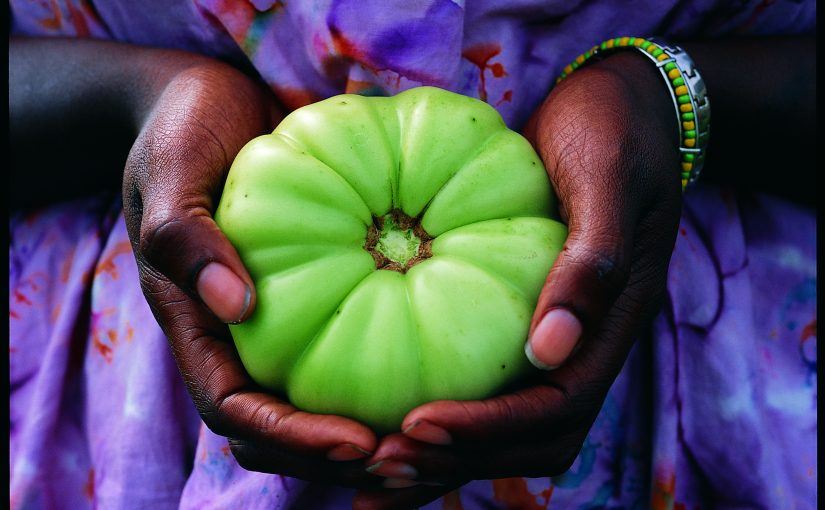 From the Good Earth: A Photo Essay of Traditional Agriculture Around the World