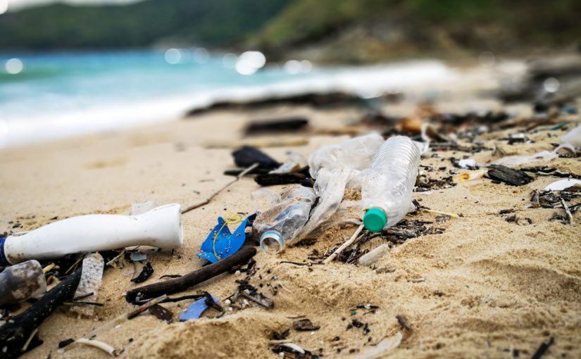 Thicker Than Water: The Quest for Solution to the Plastic Crisis – Erica Cirino