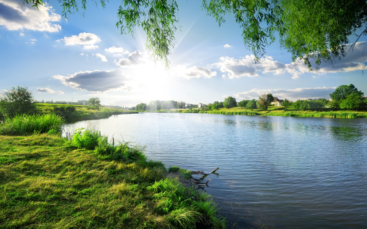 Discovering the Real Nature of Water
