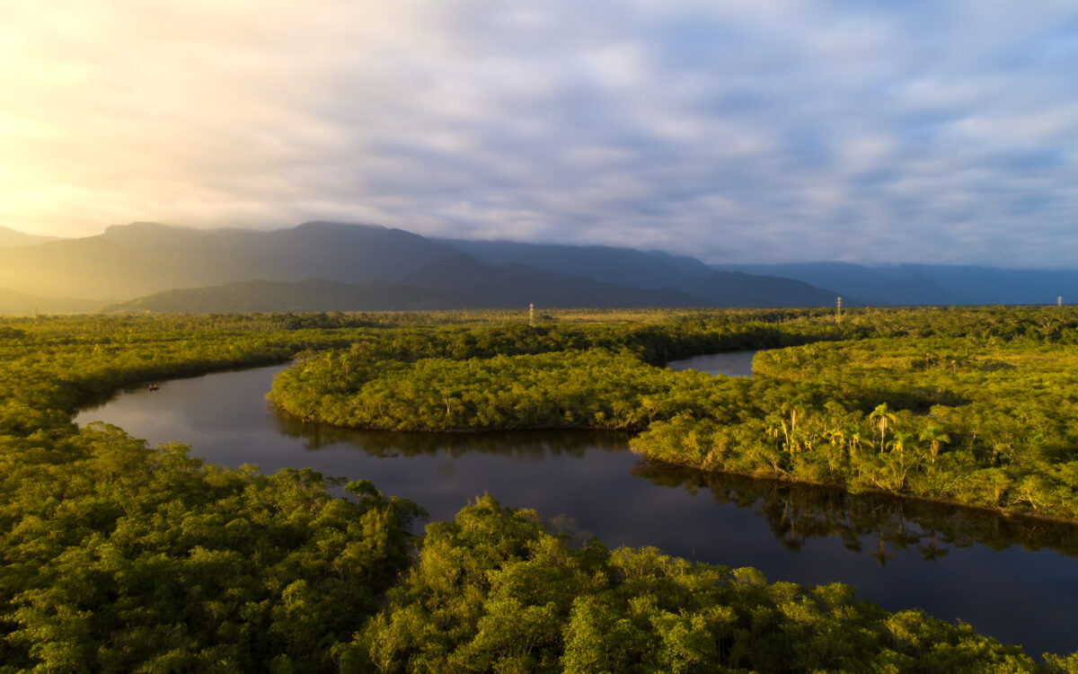 The Sacred Headwaters Initiative: Protecting the Amazon Region