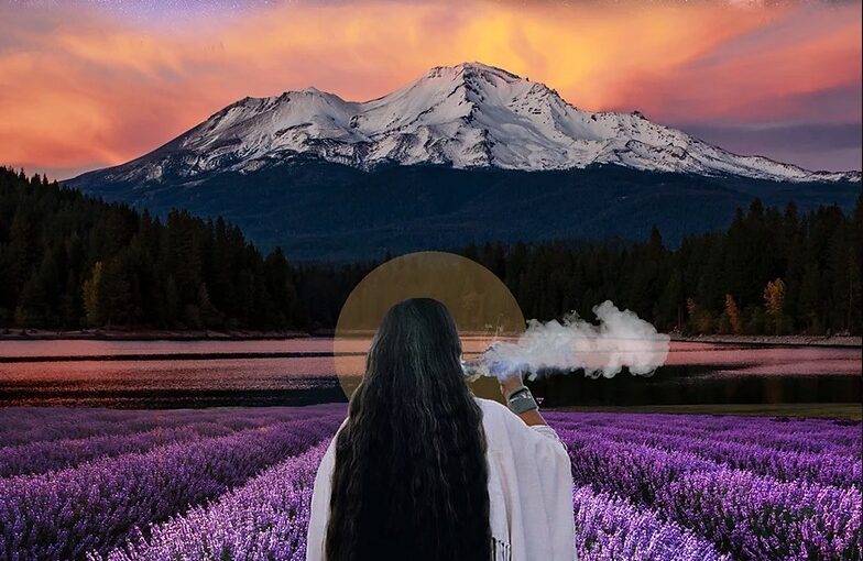 Do What You Love, The Rest Will Follow: An Interview with Indigenous Artist and Activist Mer Young