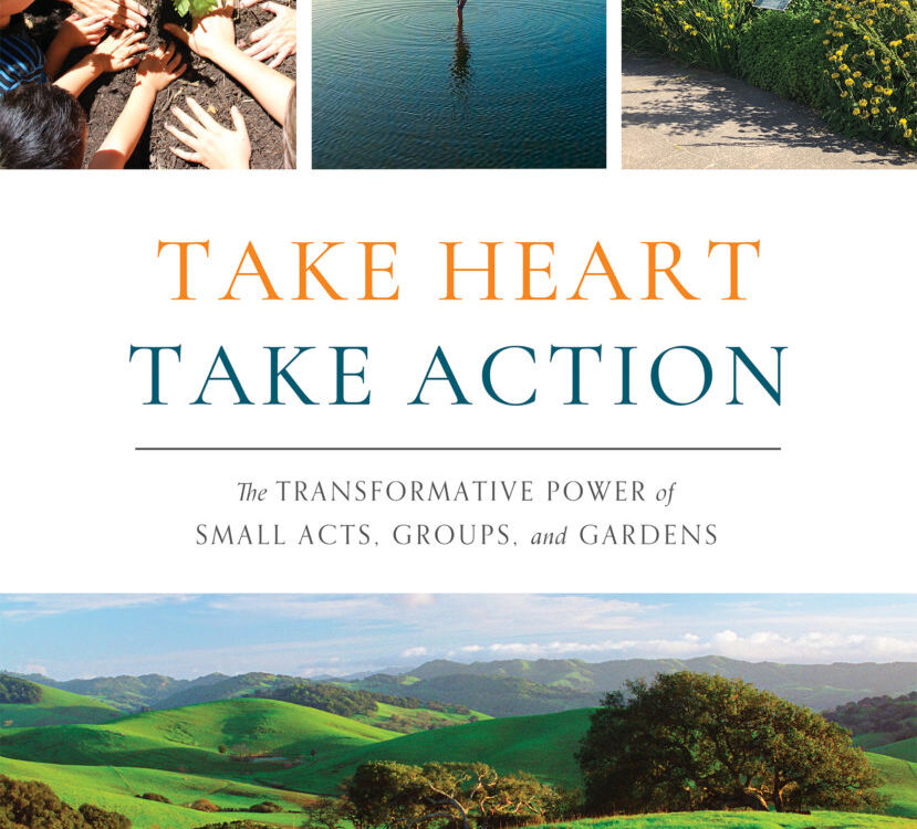 Take Heart Take Action: Deepening into Self and Community
