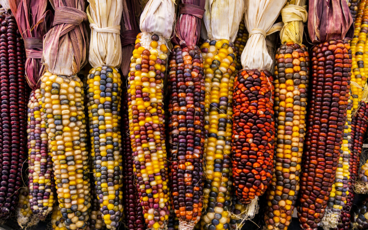 What It Means to Decolonize Thanksgiving In 2022