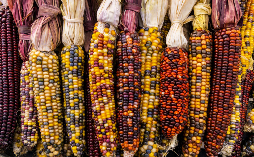 What It Means to Decolonize Thanksgiving In 2022
