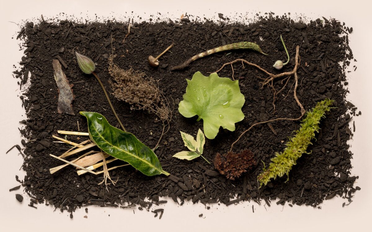 How Human Composting May Help Us Reimagine Death
