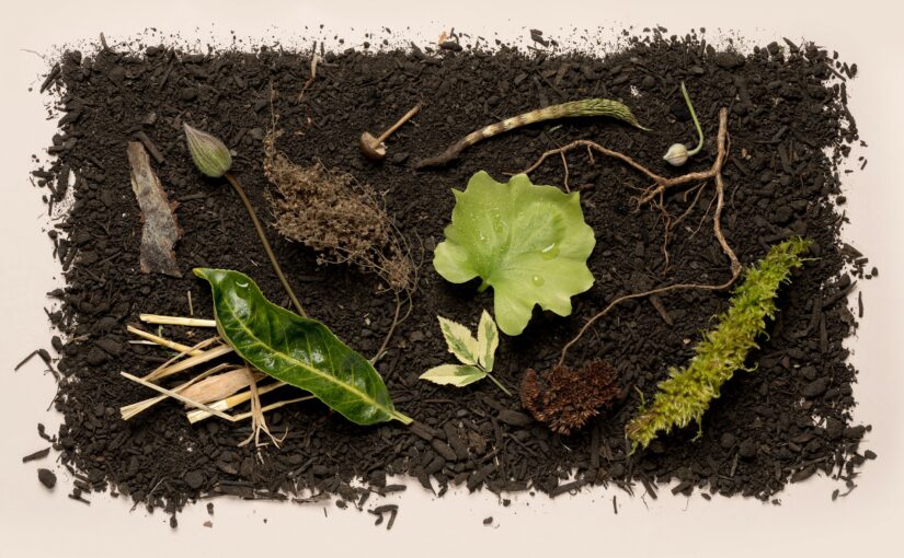 How Human Composting May Help Us Reimagine Death