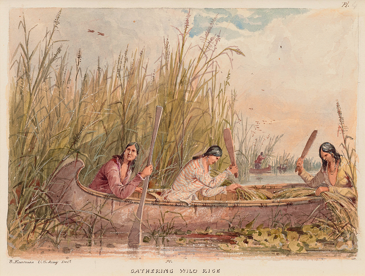 Legalizing Nature’s Rights: How Tribal Nations are Leading the Fastest ...
