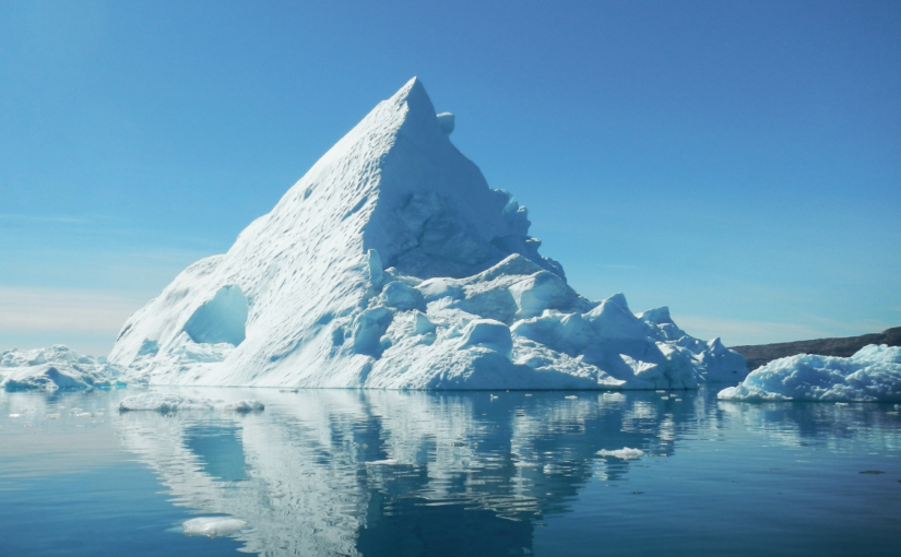 The Fight Against Climate Change in the North