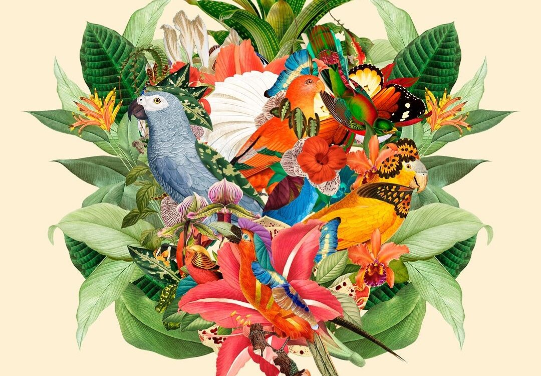 Finding Artistic Inspiration in Nature: An Interview with Artist Guillermo Flores