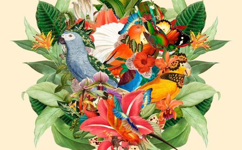 Finding Artistic Inspiration in Nature: An Interview with Artist Guillermo Flores