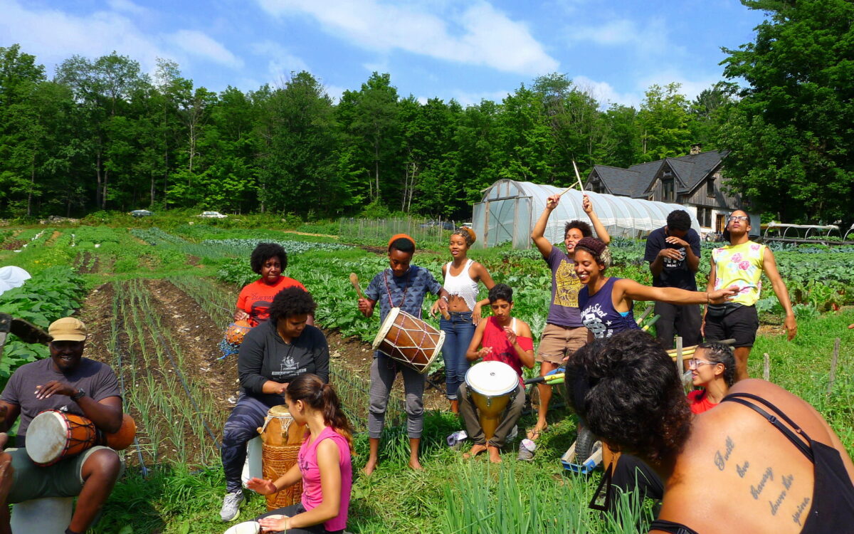 Fight against food apartheid requires creating spaces for Black food & farming to thrive