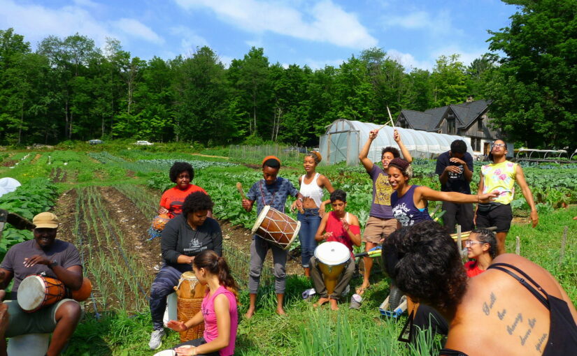 Fight against food apartheid requires creating spaces for Black food & farming to thrive