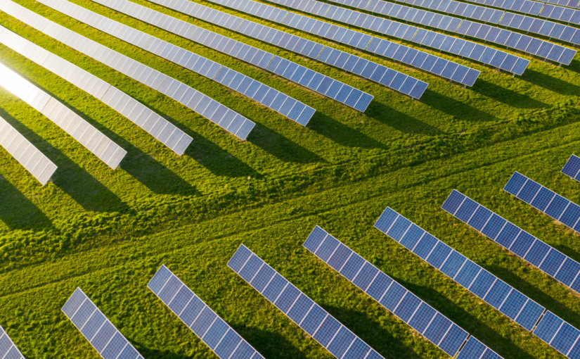 Join the Urgent Call to Climate Action