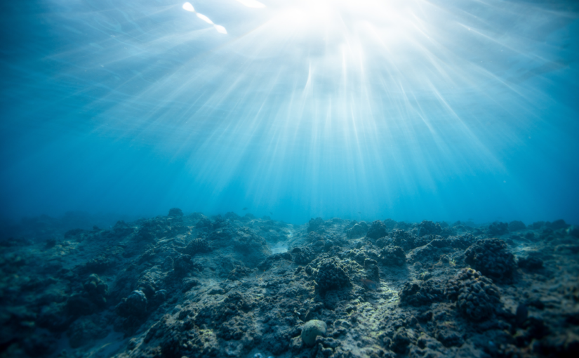 The High Seas Treaty: 2 Expert Perspectives