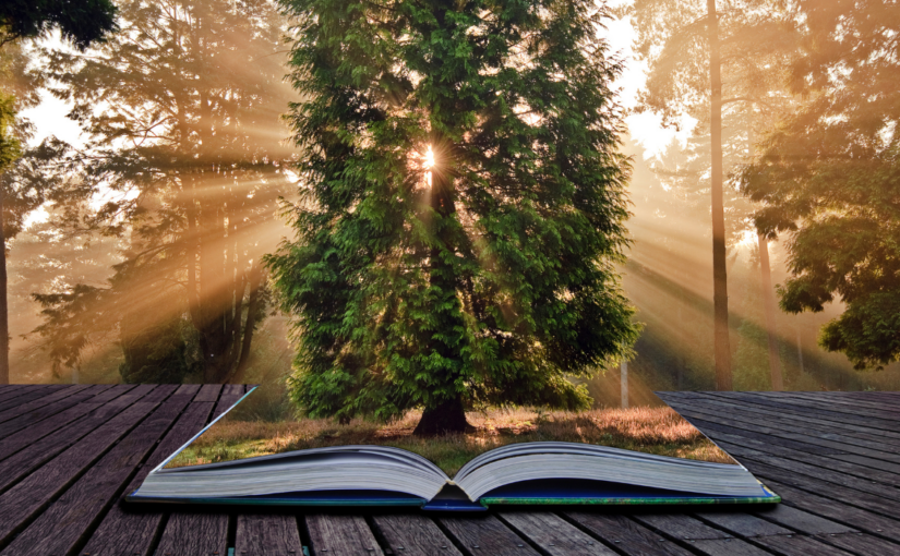Can Storytellers Help Save the World: From Fictional Narrative to Real World Change 