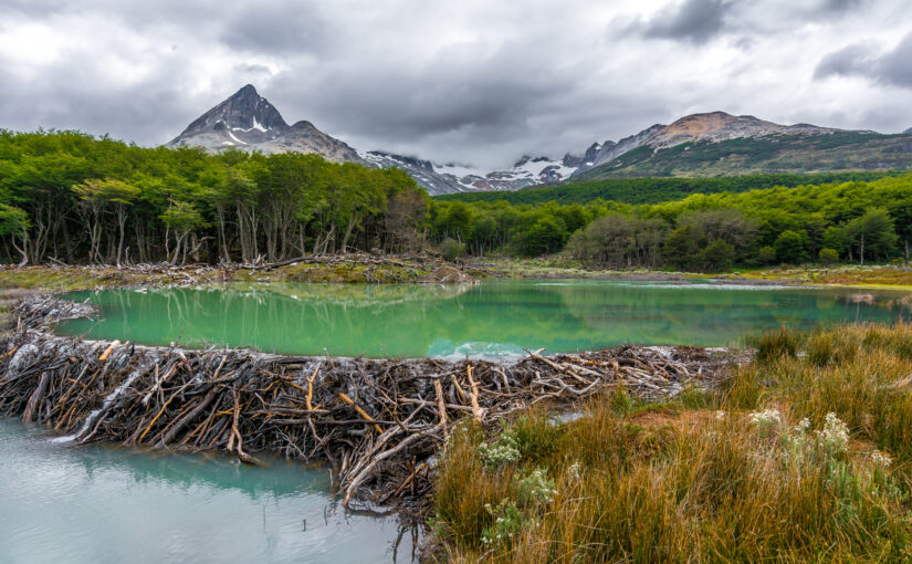 Kate Lundquist and Brock Dolman: How We’re Winning the Campaign to Rehydrate the West