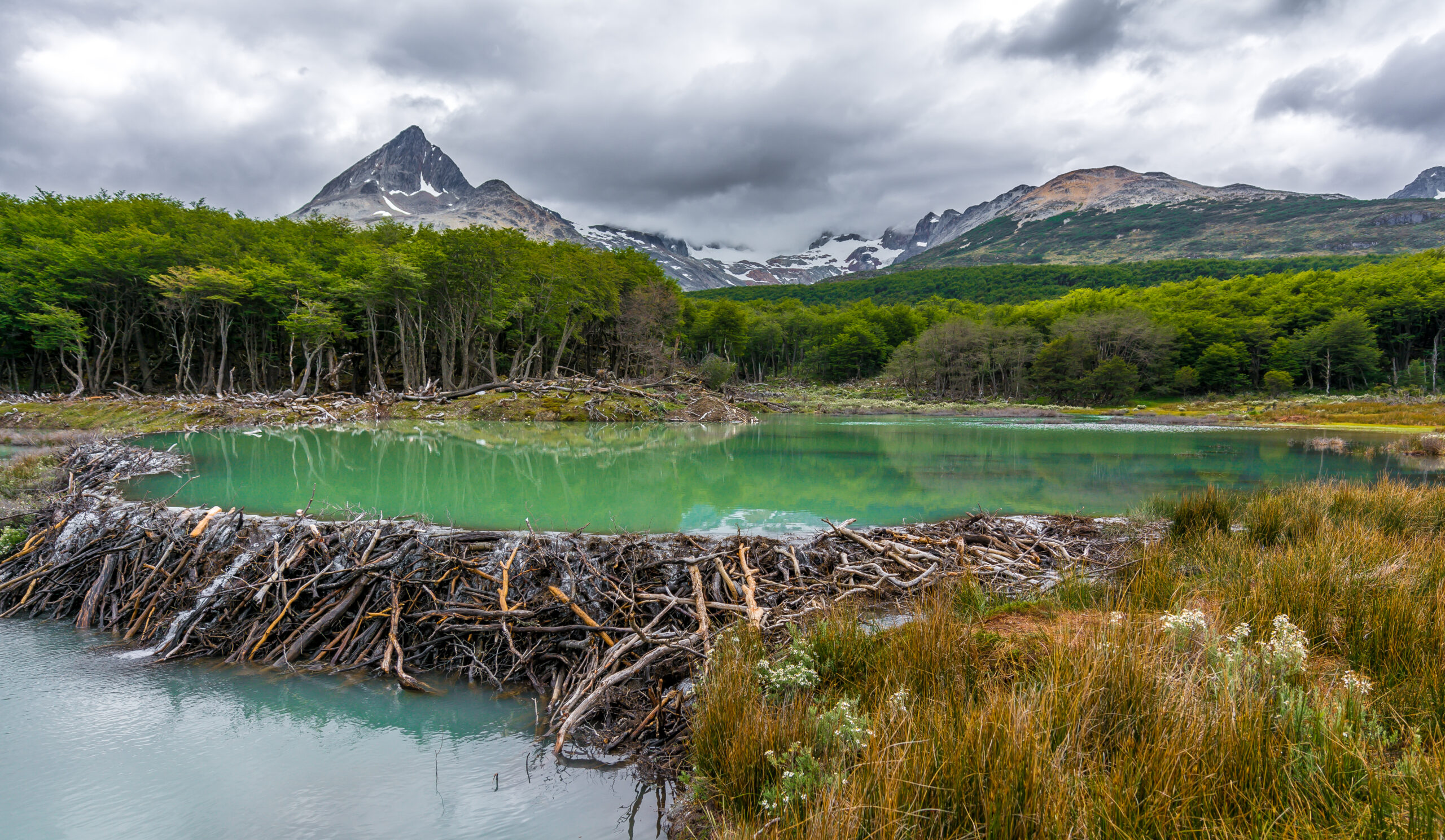 Kate Lundquist and Brock Dolman: How We’re Winning the Campaign to Rehydrate the West