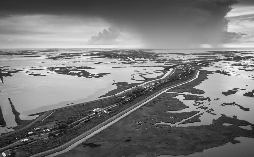 Adapt the Shoreline with Allison Sant