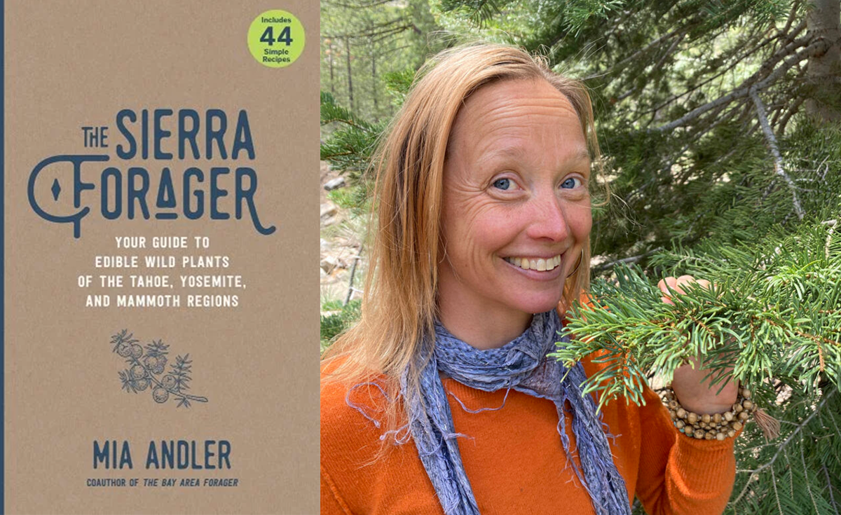Mindful Foraging