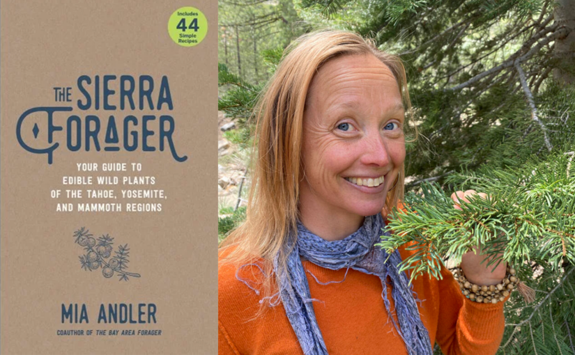 Mindful Foraging