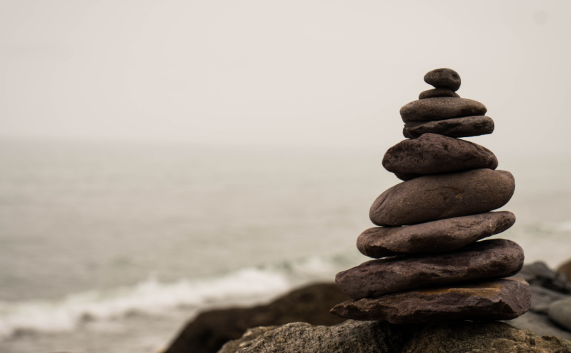 Slowing Down: An Interview with Sonali Sangeeta Balajee