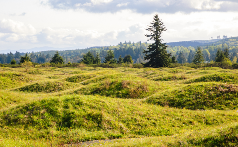 The Landback Movement: Rematriating Indigenous Territories