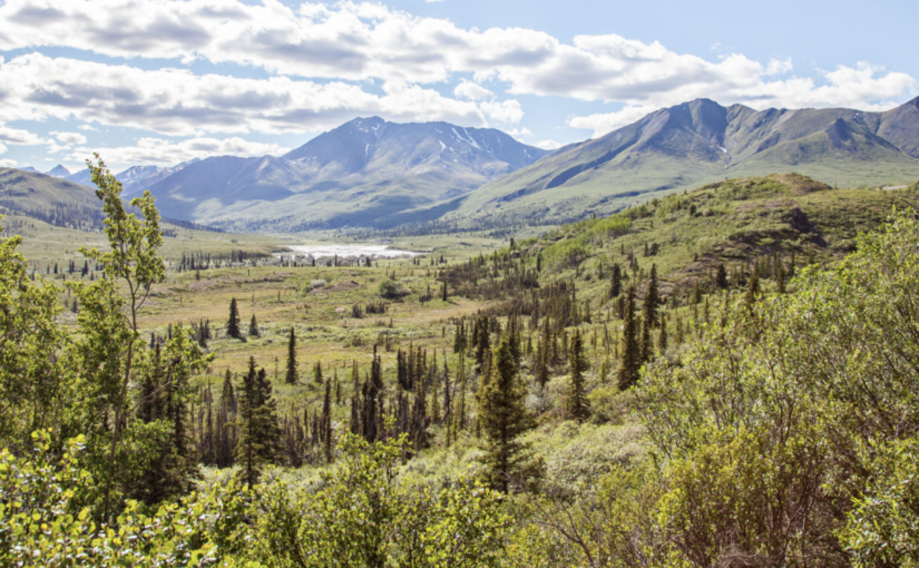 Landback: Restoring People, Place and Purpose