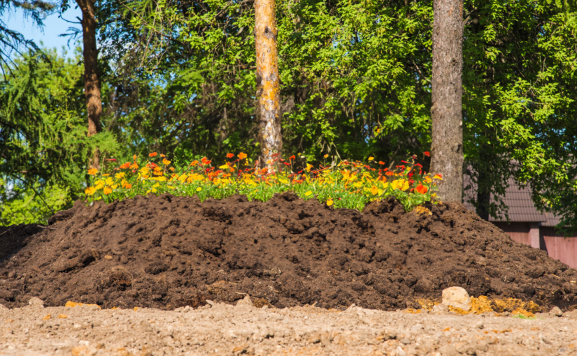 Explore Green Burial and Human Composting with Bioneers