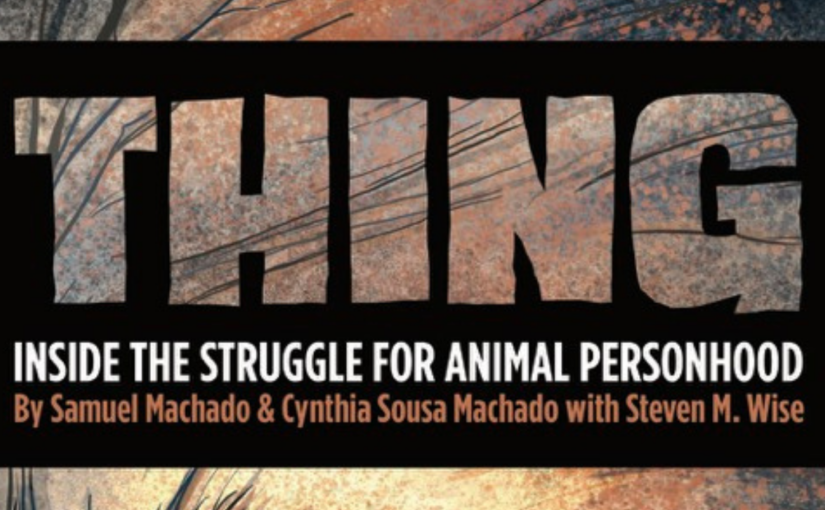 Happy the Elephant: Inside the Struggle for Animal Personhood