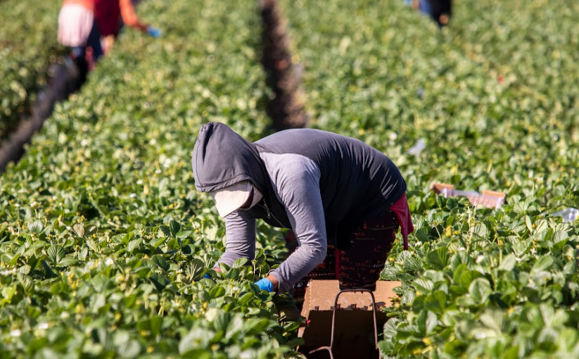 Pushing Back Against Loosening Child Labor Laws