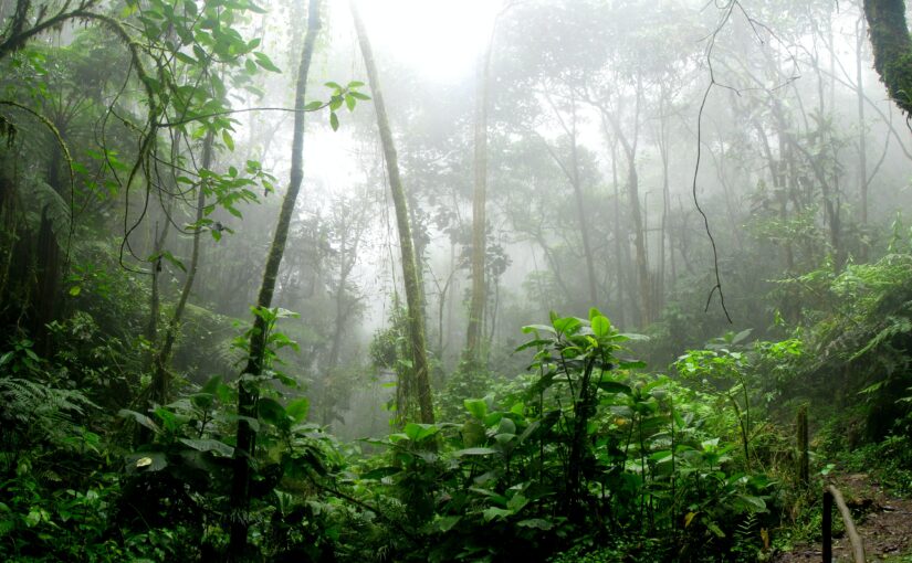 Rights of Nature: An Interview with Thomas Linzey