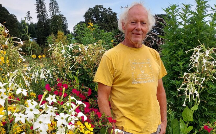 The Fascinating World of “Classical” Organic Seed Breeding