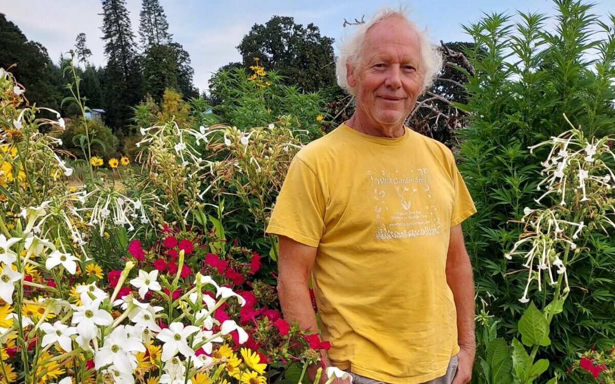 The Fascinating World of “Classical” Organic Seed Breeding