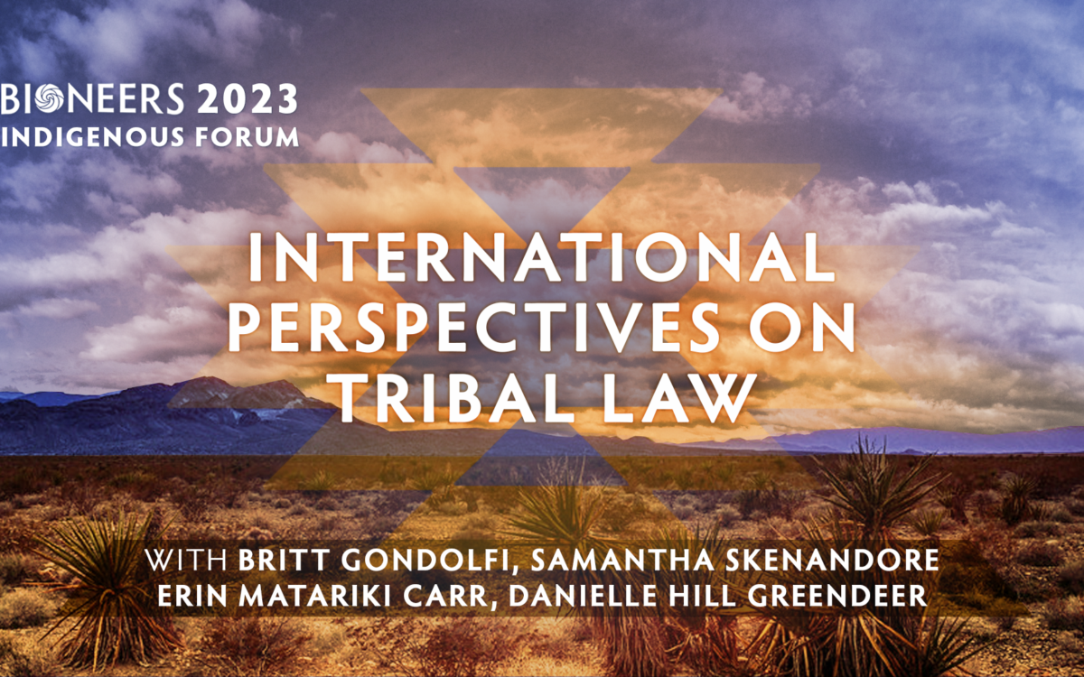 Indigenous Forum – International Perspectives on Rights of Nature in Tribal Law