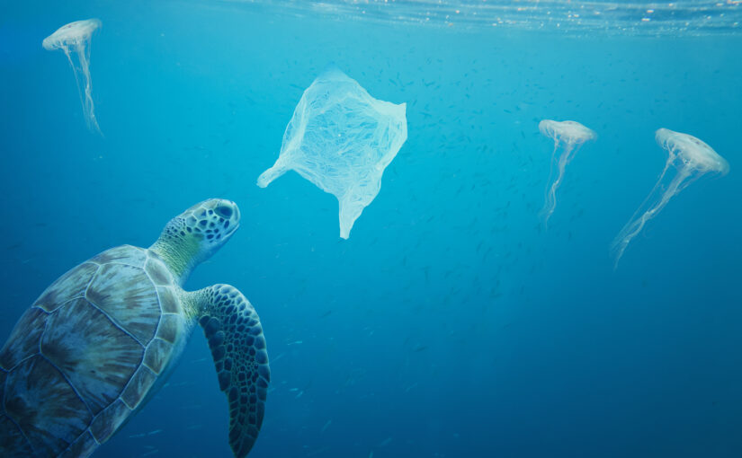 From Plastic Mythology to Environmental Reality: Experts Discuss the Crisis