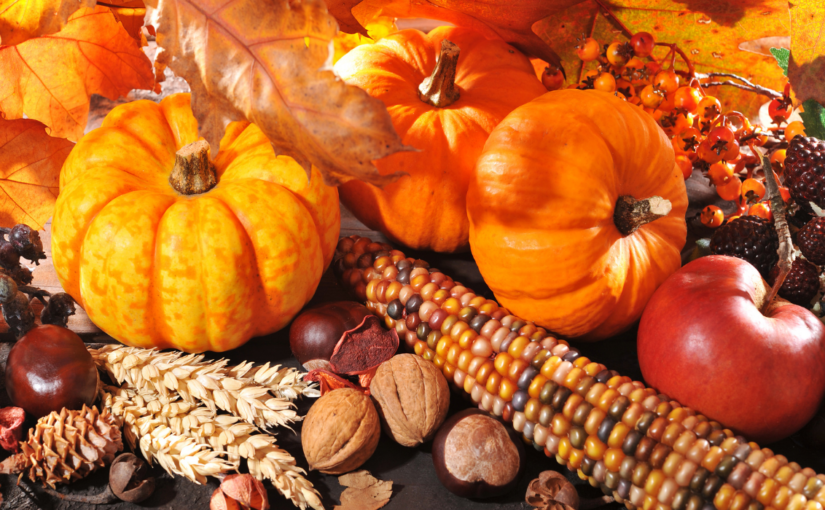 How To Decolonize Your Thanksgiving in 2023