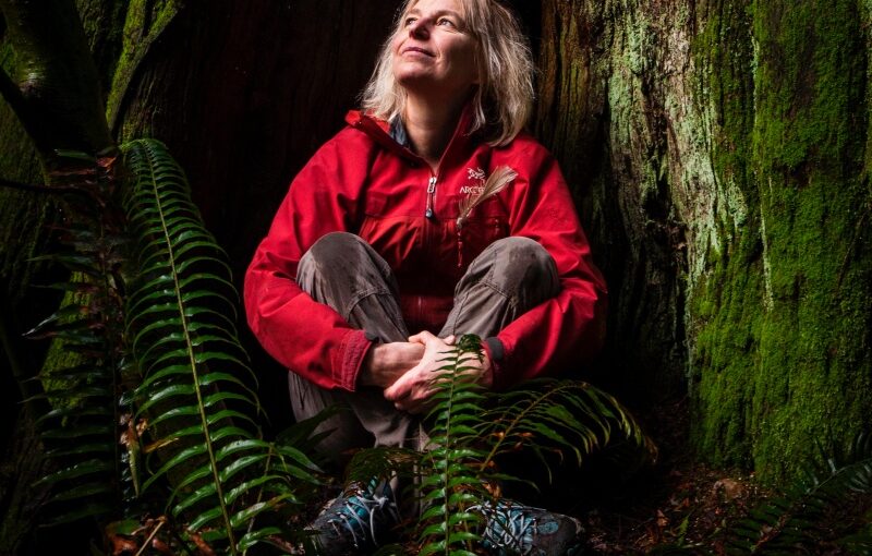 The Wood Wide Web: The Intelligent Underground Mycelial Network