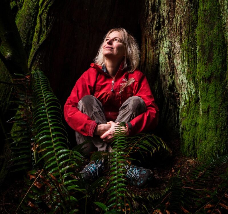 The Wood Wide Web: The Intelligent Underground Mycelial Network