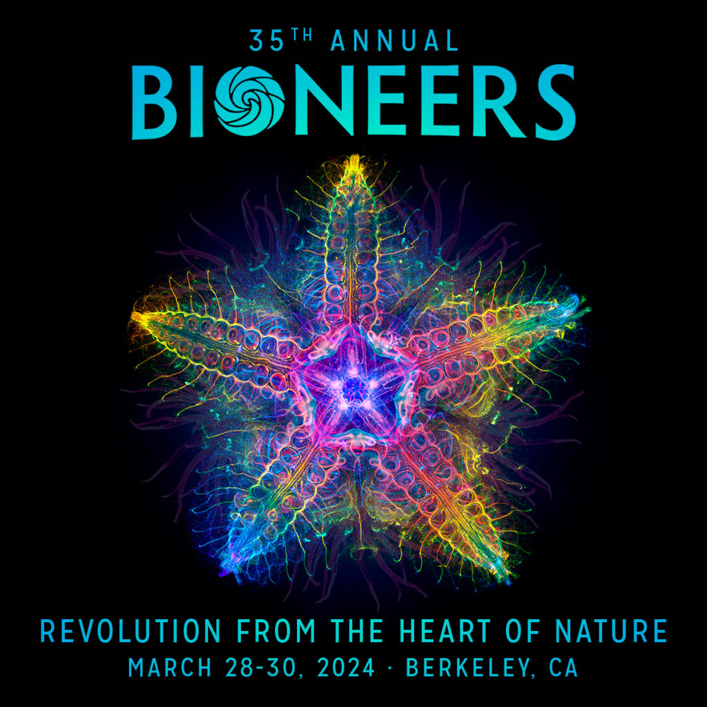The Wood Wide Web: The Intelligent Underground Mycelial Network - Bioneers