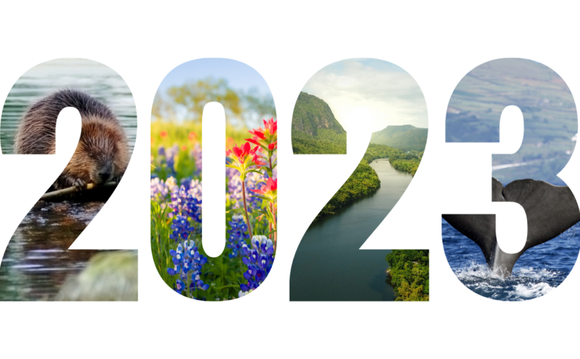 Most-Read, Most-Listened & Most-Watched in 2023