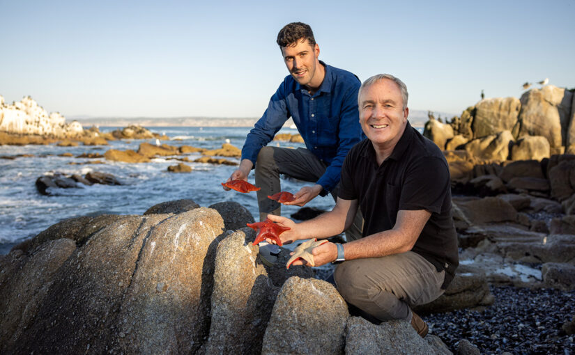 New Study Solves Long-Standing Mystery of Starfish Body Structure