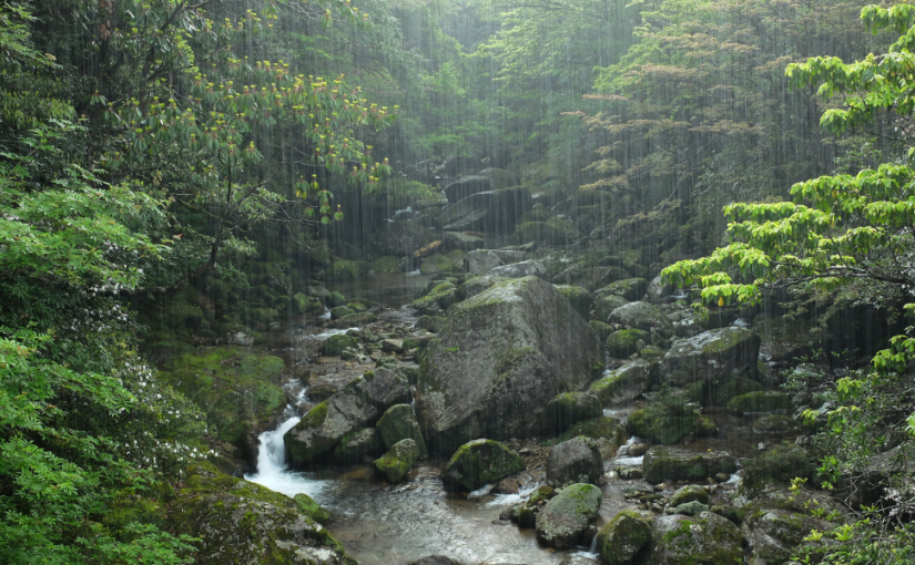 Embracing Slow Water: Rediscovering the True Nature of Earth’s Lifeline