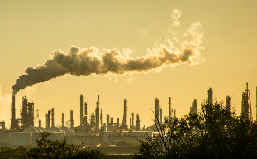 Kenny Ausubel: It’s the Corporations, Stupid