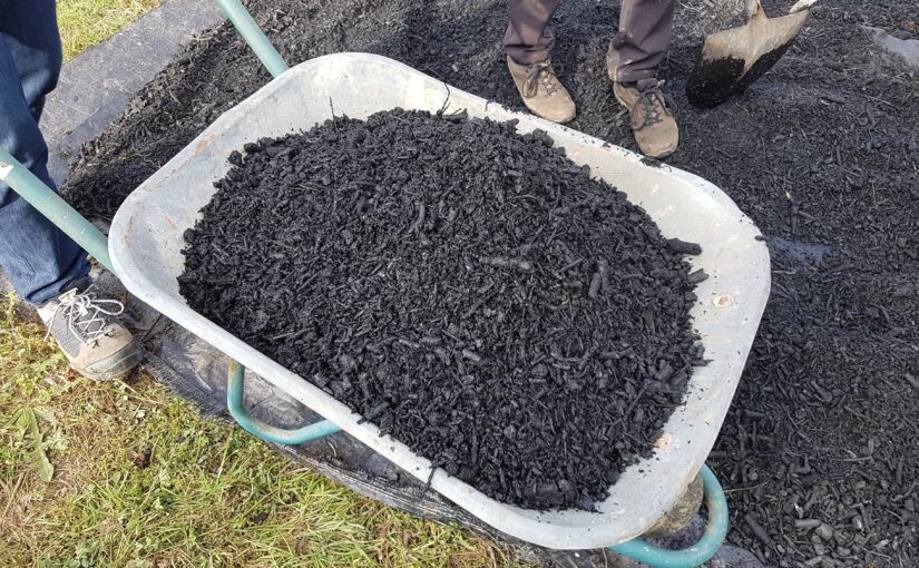 Biochar: An Ancient Method of Healing Modern Soils