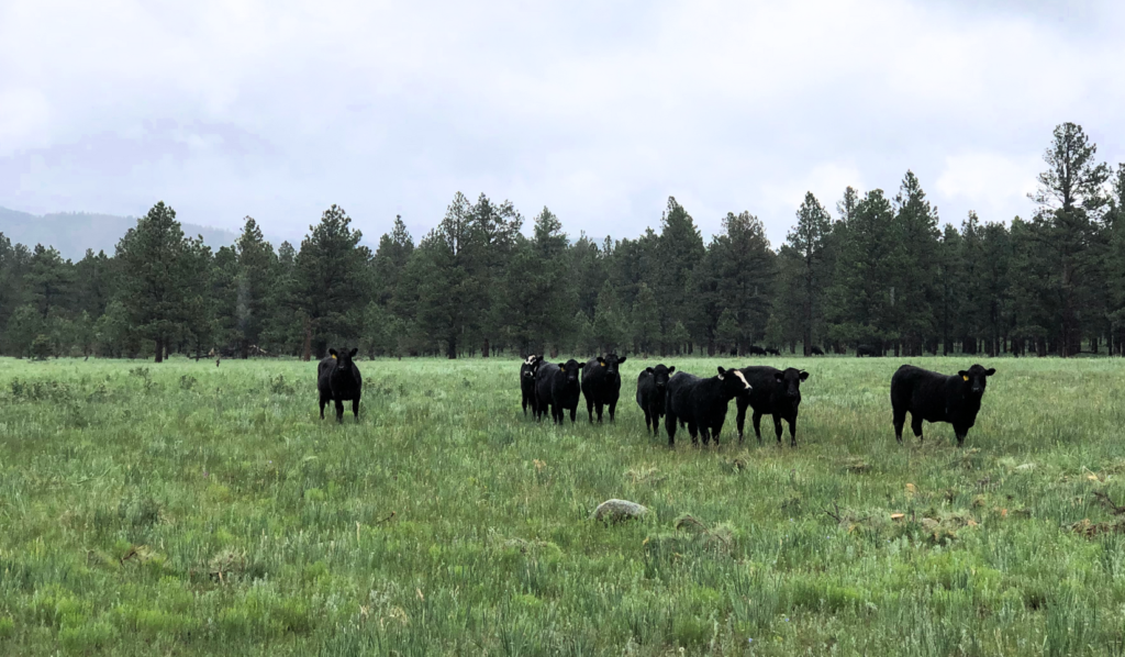 How a Coalition of Ranchers, Farmers and Conservationists Foster ...