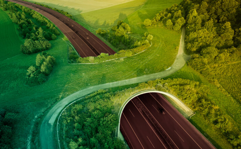 Restoring Balance: How Nature-Based Solutions Can Heal Our Land and Water