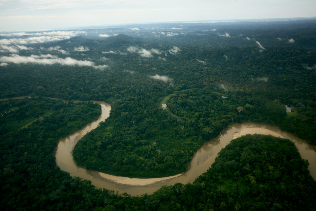 Waorani ancestral territory in Pastaza, Ecuadorian Amazon. Photo Christopher Fragapane / Amazon Frontlines 
