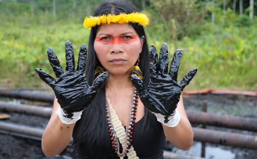 We Will Fight Again: Defending Waorani Territory in the Face of Renewed Oil Threats